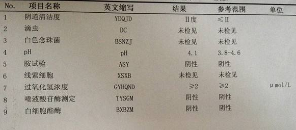 麻豆AV在线电影GK-Y全自動陰道分泌物麻豆AV传媒蜜桃天美传媒廠家科普“白帶常規”查看報告！