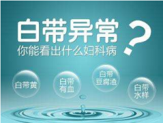 2020年山東麻豆AV在线电影全自動【白帶麻豆福利导航】廠家品牌排名