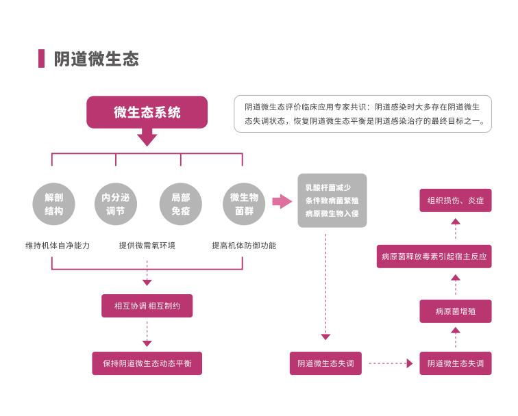 全自動陰道炎麻豆AV传媒蜜桃天美传媒LTS-V400陰道微生態係統